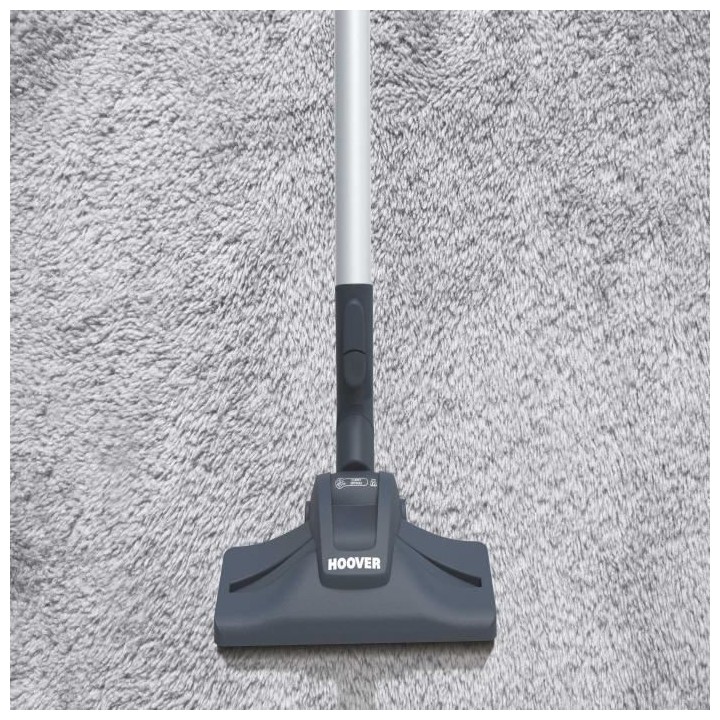 HOOVER TELIOS EXTRA TX50PET - ASPIRATEUR TRAINEAU AVEC SAC - 700W - si
