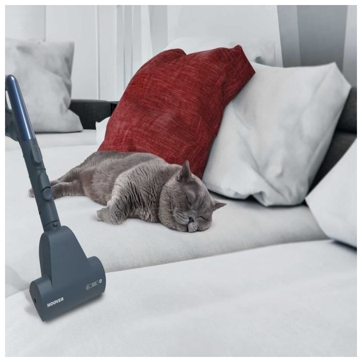 HOOVER TELIOS EXTRA TX50PET - ASPIRATEUR TRAINEAU AVEC SAC - 700W - si