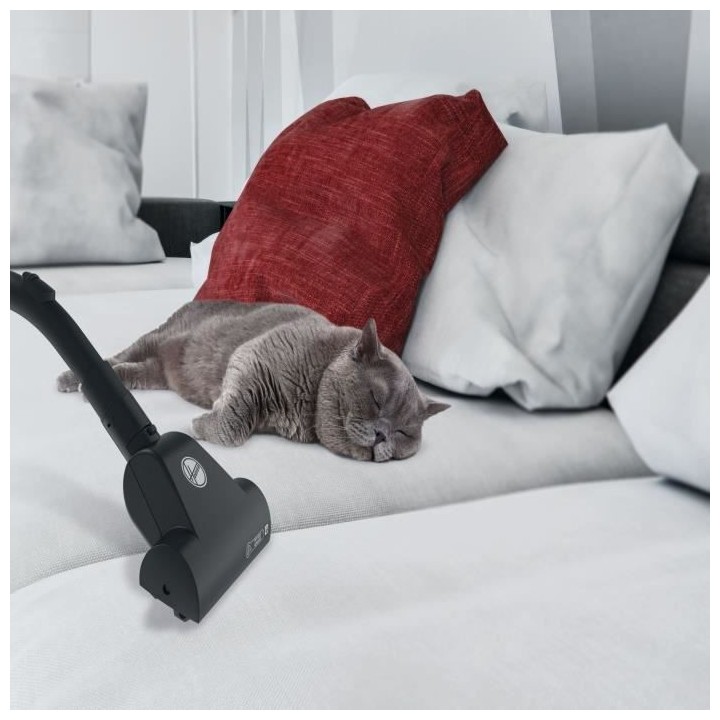 HOOVER BRAVE BV60PET - ASPIRATEUR TRAINEAU AVEC SAC - 700 W - silencie