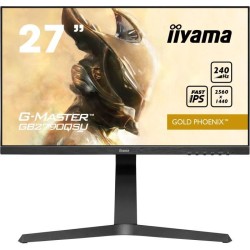 Ecran PC Gamer - IIYAMA...