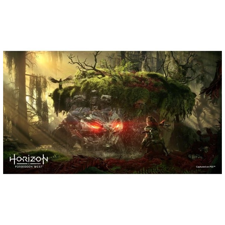 Horizon: Forbidden West - Jeu PS5