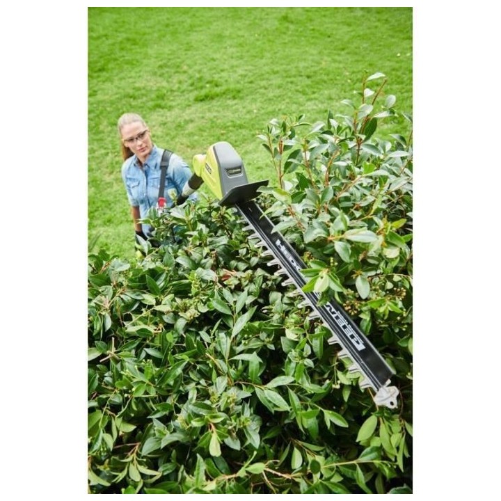 Taille-haies sur perche 36V - lames 50 cm - écartement 22 mm - tube d