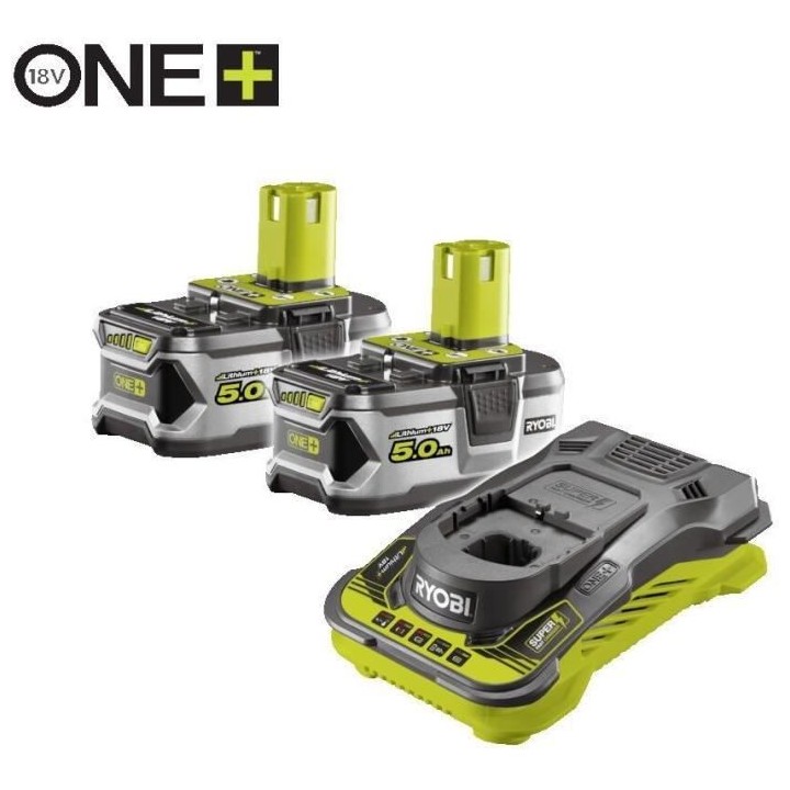 2 batteries lithium+ 18V - 5,0 Ah et 1 chargeur ultra rapide 5,0 A