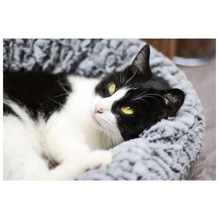 AIME Corbeille fourrure S Ø 45 cm - Beige - Pour chat et petit chien