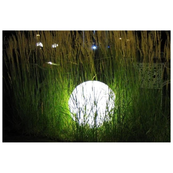 LUMISKY - Boule lumineuse filaire pour extérieur LED - blanc BOBBY -