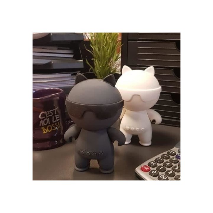 ENCEINTE PORTABLE BLUETOOTH GRIS - INOVALLEY - HP112-BTH-G