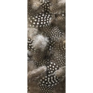 Papier peint intissé Panoramique - Duvet 240x98cm