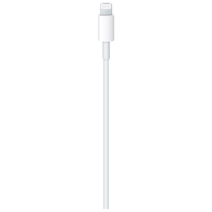 Cable APPLE USB-C To Lightning cable 2 M