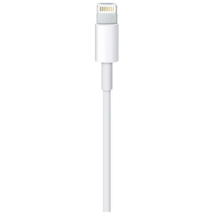 Cable APPLE Lightning To USB cable 1 M
