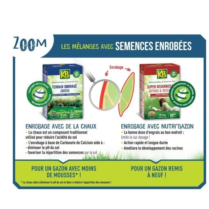 Semences Gazon KB KREGFAC100 - Super Regarnissant 2 kg - Pour terrains