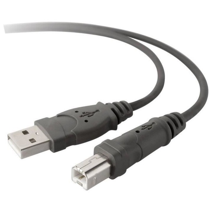 BELKIN Câble USB DSTP USBA USBB 3M DEVICE