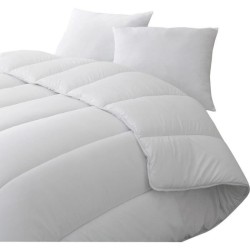 BLANREVE Couette chaude Percale - Anti-acariens - 350g/m² - 200x200cm