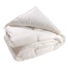 BLANREVE Couette Naturelle Duvet Percale de Coton - Anti-acariens - 220x240cm