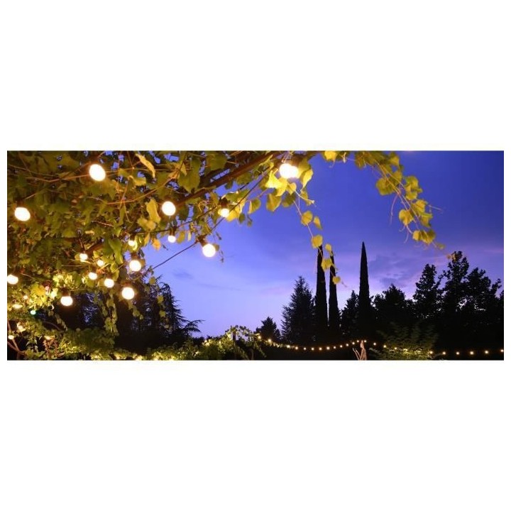 LEALIGHT Guirlande extérieure guinguette Fete - 50 LED - 10 ampoules