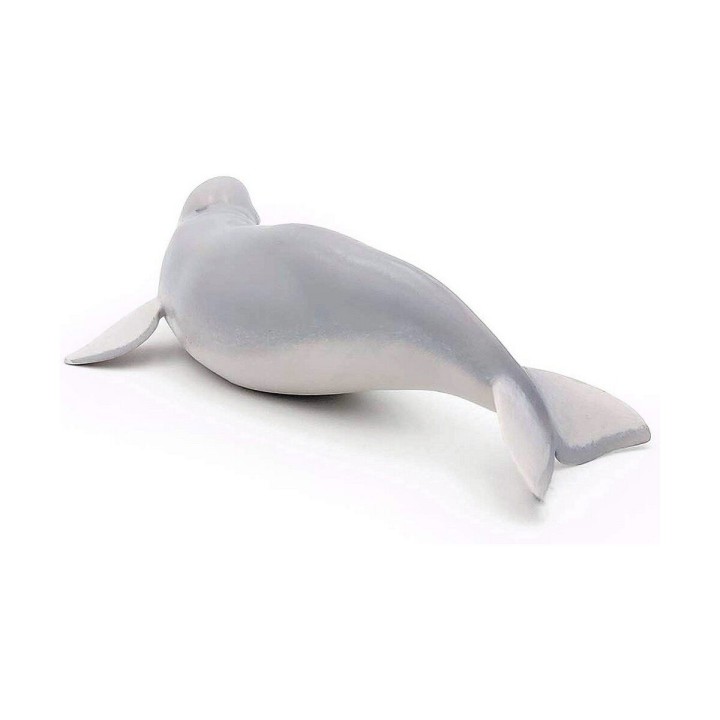 Carte postale microlorge