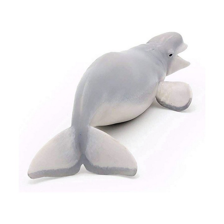 Carte postale microlorge