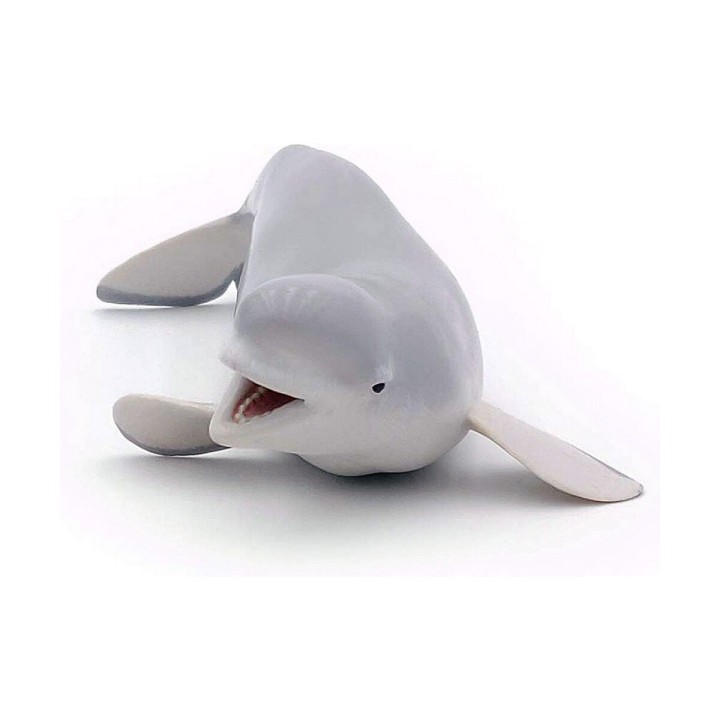 Carte postale microlorge