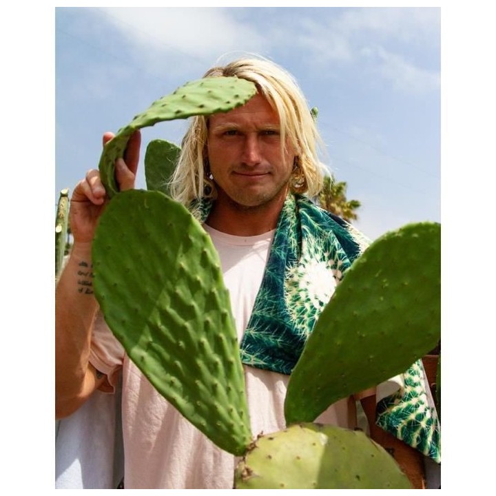 LEUS Serviette plage 148x84cm CACTI GREEN