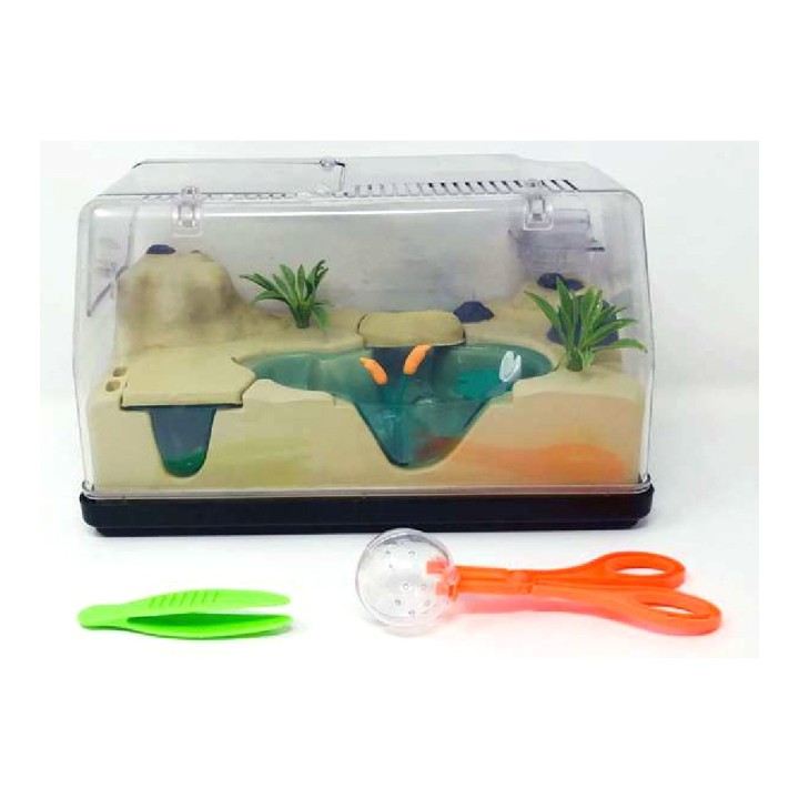 image imprimée ou numérique