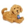 Jouet Peluche Famosa 700016894