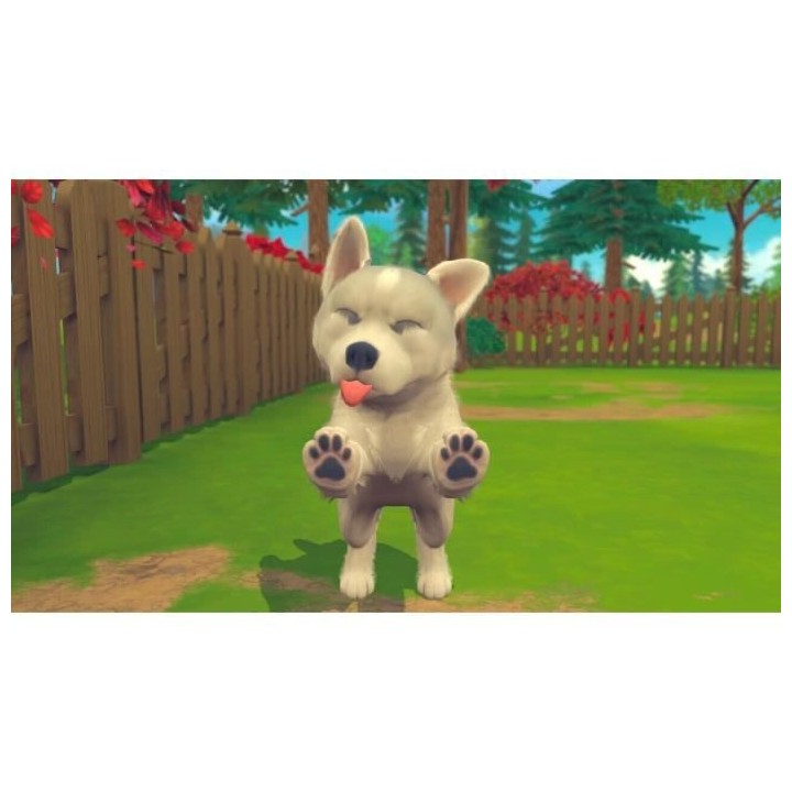 My Universe : My Baby - Chiens & Chats Jeu Switch