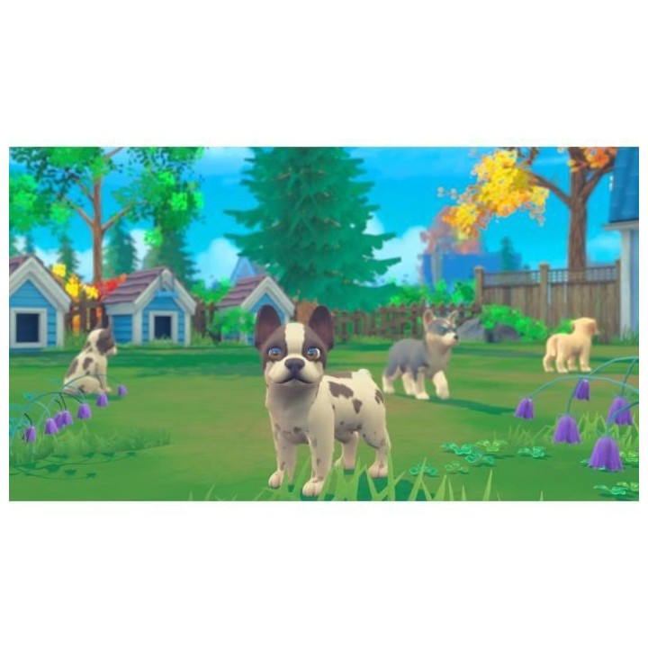 My Universe : My Baby - Chiens & Chats Jeu Switch