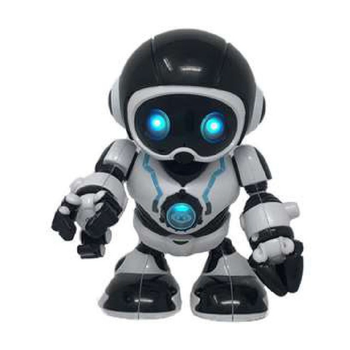 Carte postale microlorge