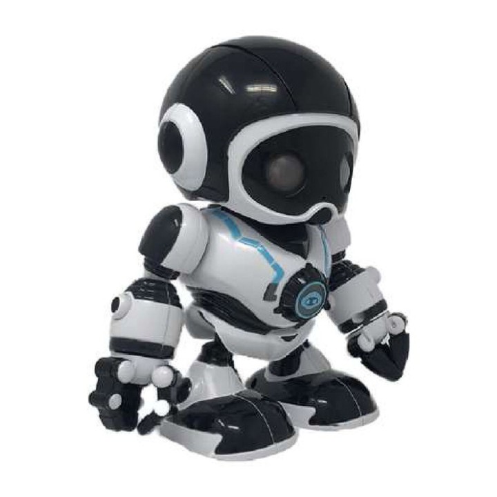 Carte postale microlorge