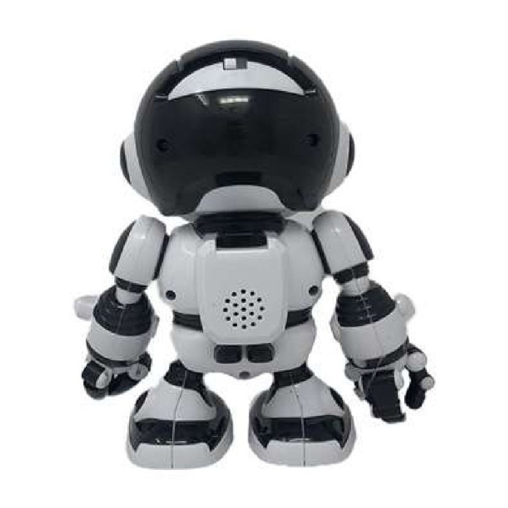 Carte postale microlorge