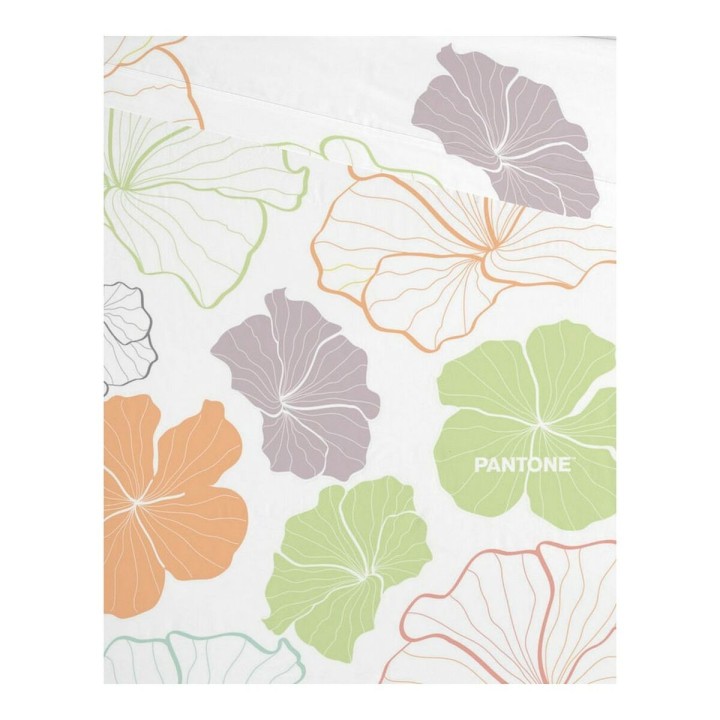 Carte postale microlorge