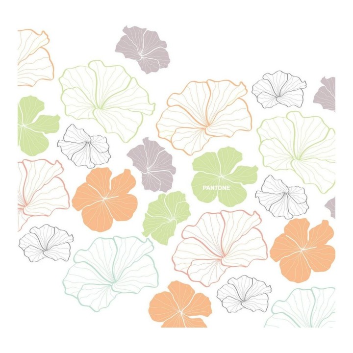 Carte postale microlorge