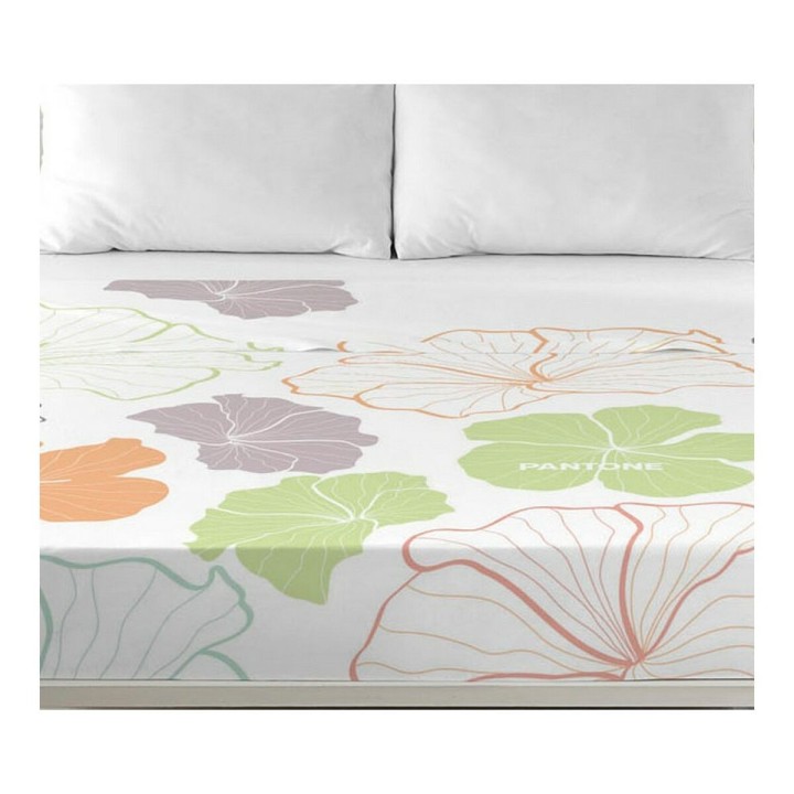 Carte postale microlorge