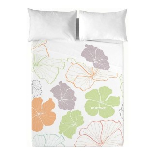 Carte postale microlorge