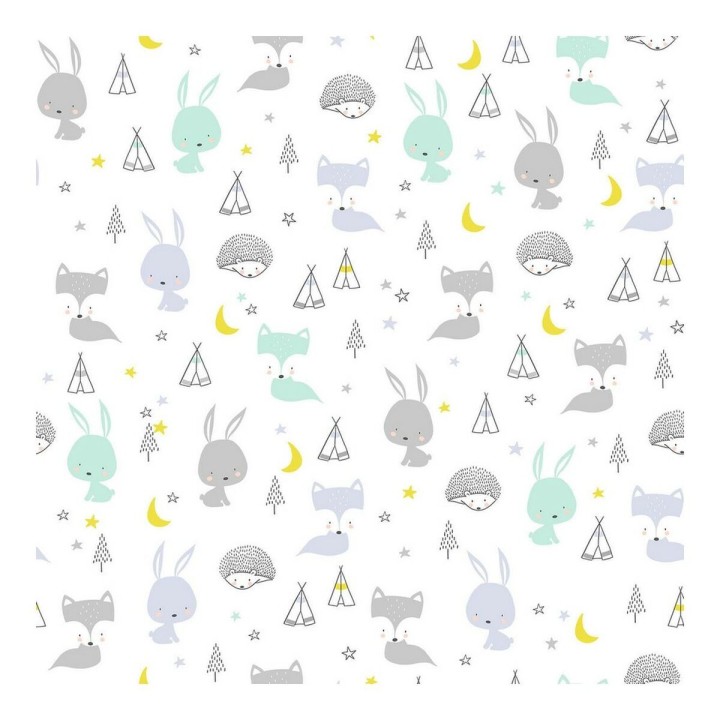 Carte postale microlorge