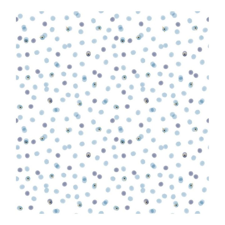 Carte postale microlorge