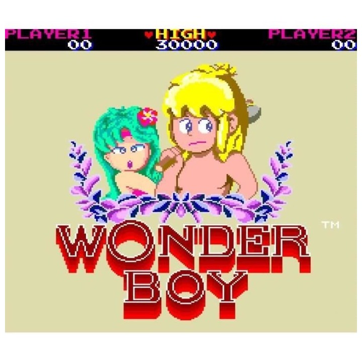 Wonder Boy Collection Jeu Switch