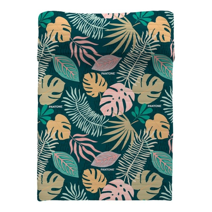 Carte postale microlorge