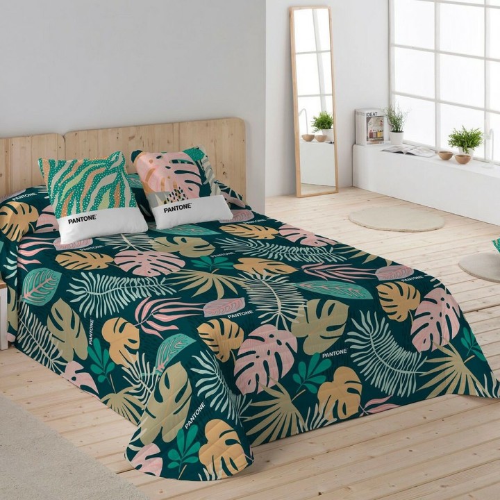 Carte postale microlorge