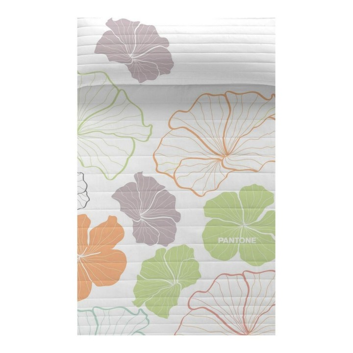 Carte postale microlorge