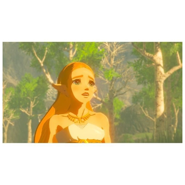 The Legend of Zelda : Breath of the Wild Jeu Switch