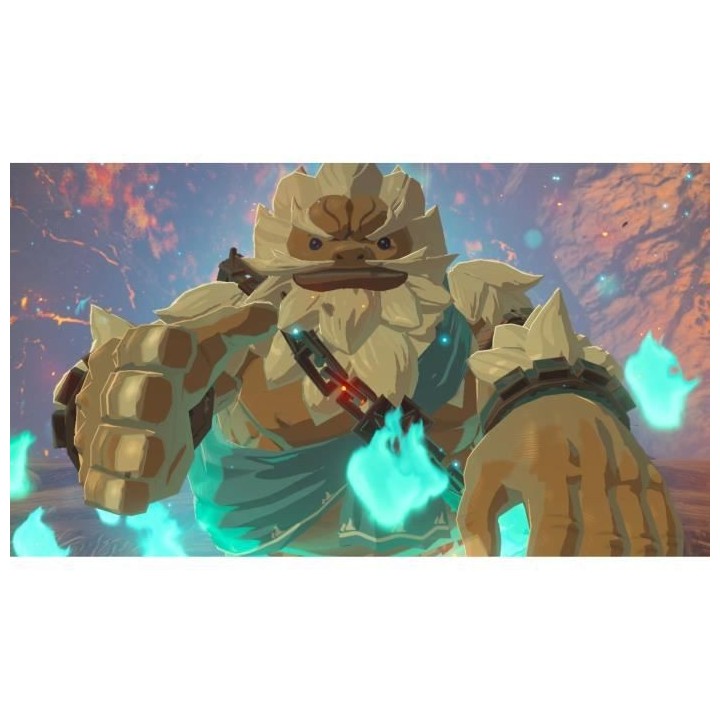 The Legend of Zelda : Breath of the Wild Jeu Switch