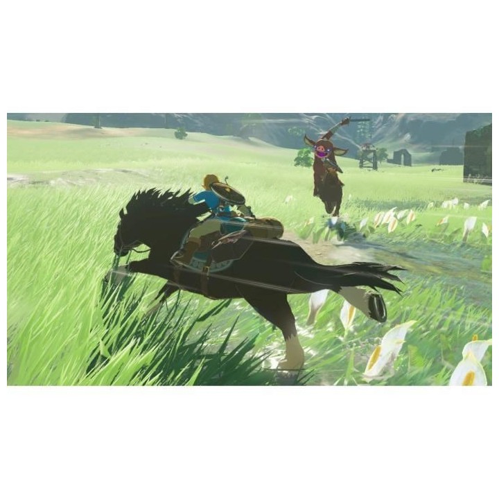 The Legend of Zelda : Breath of the Wild Jeu Switch