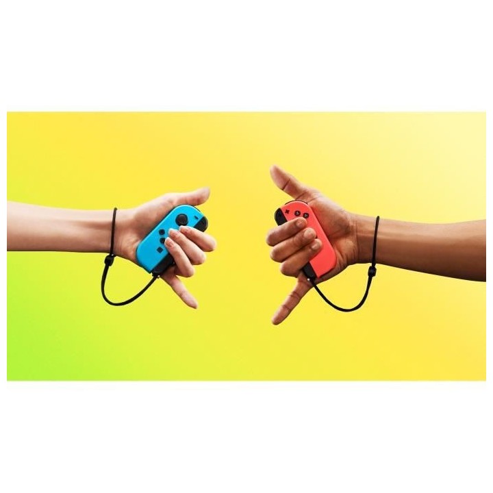 1-2-Switch Jeu Switch