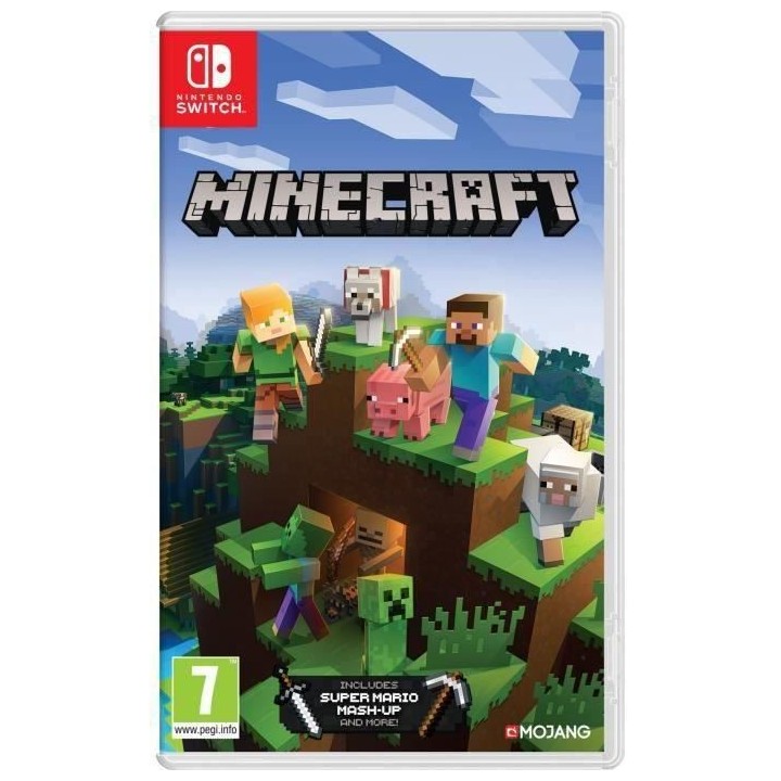 Minecraft switch