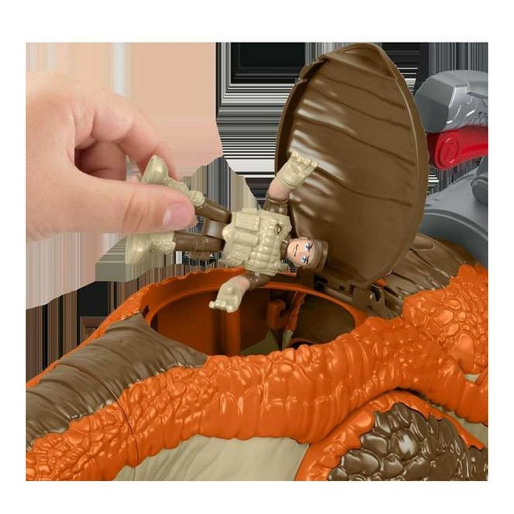 Carte postale microlorge