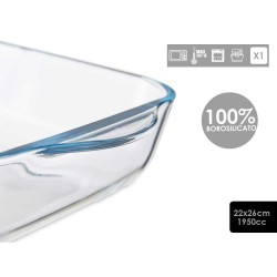 Plat de Four Transparent Verre Borosilicaté (21,5 x 6 x 25,5 cm)