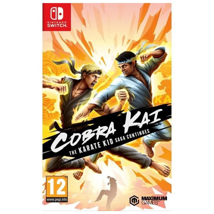 Cobra Kai : The Karate Kid Continues Jeu Switch