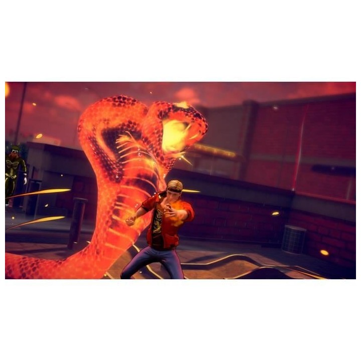 Cobra Kai : The Karate Kid Continues Jeu Switch