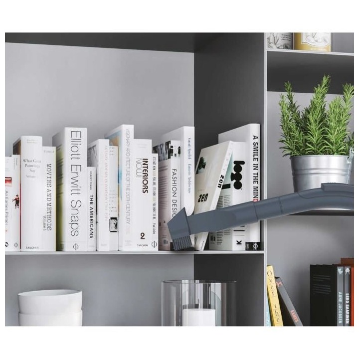 HOOVER SO30PAR Aspirateur Traineau Sac, Puissant 650W, Grande Capacit