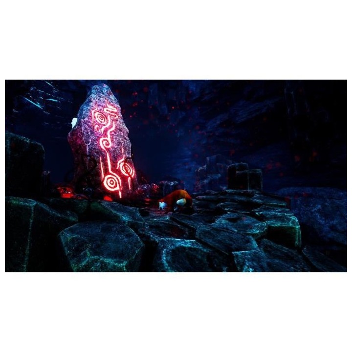 Spirit of the North Jeu PS5